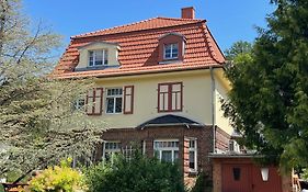 Rosstrappenblick